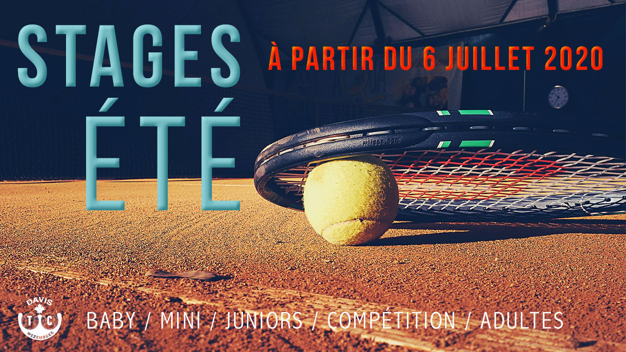 stage-ETE3-2020